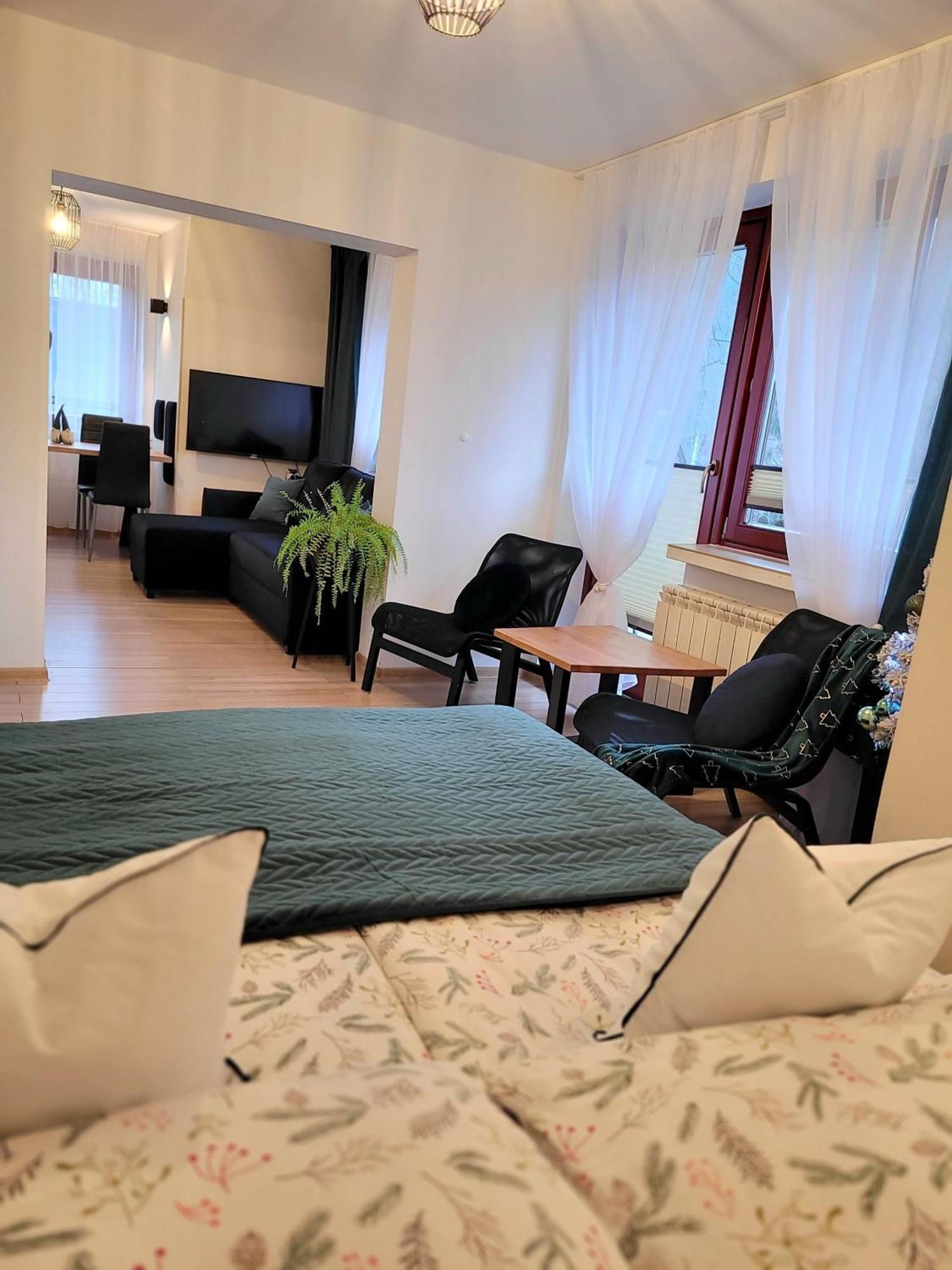 Hafcik Apartamenty Przyjazne Dzieciom Poronin Exteriér fotografie